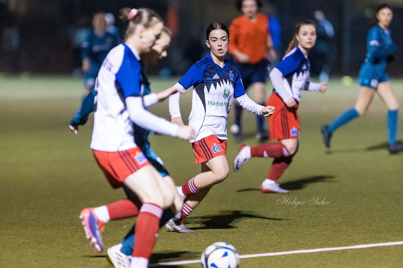 Bild 160 - F SC Alstertal-Langenhorn - Hamburger SV 3 : Ergebnis: 2:2